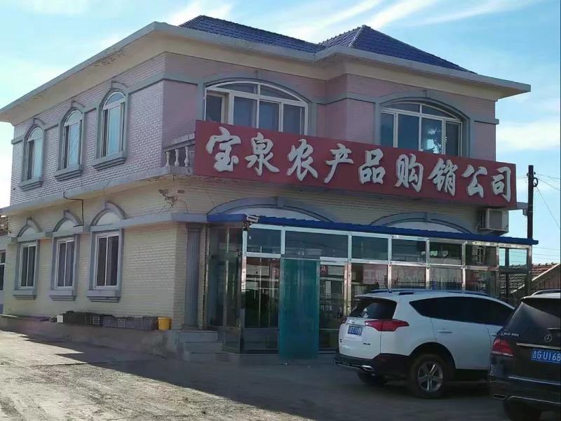 食品绿豆下料白城绿豆磨面绿豆拉粉去皮用的绿豆便宜东北绿豆