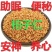 柏子仁包邮中药材无壳柏籽仁去壳柏子仁茶中草药