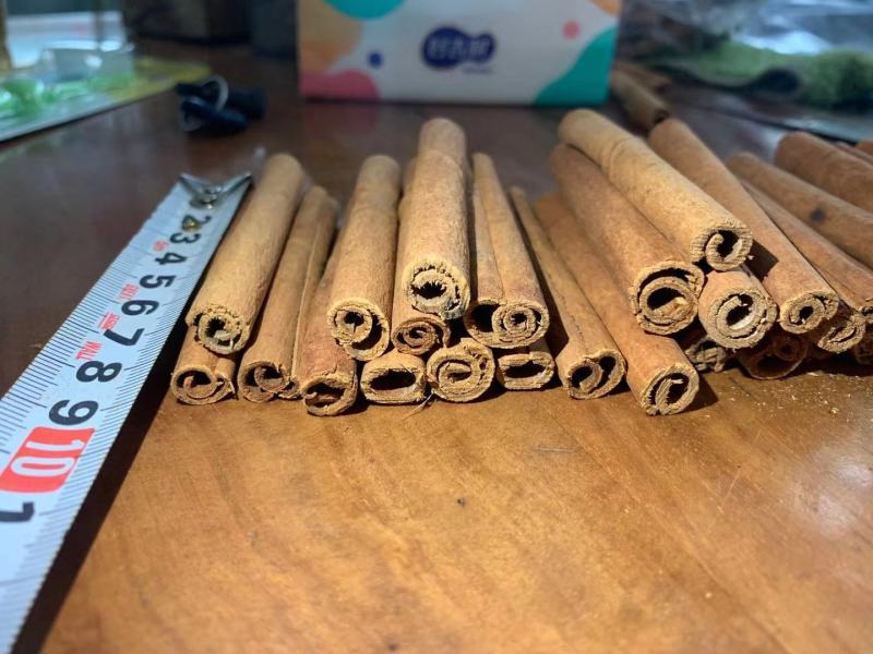 广西8公分正品精品手工去皮烟桂桂皮基地直发量大从优