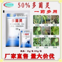 中保50%多菌灵霜霉病疫病灰霉病菌核病黑星病炭疽病白粉病