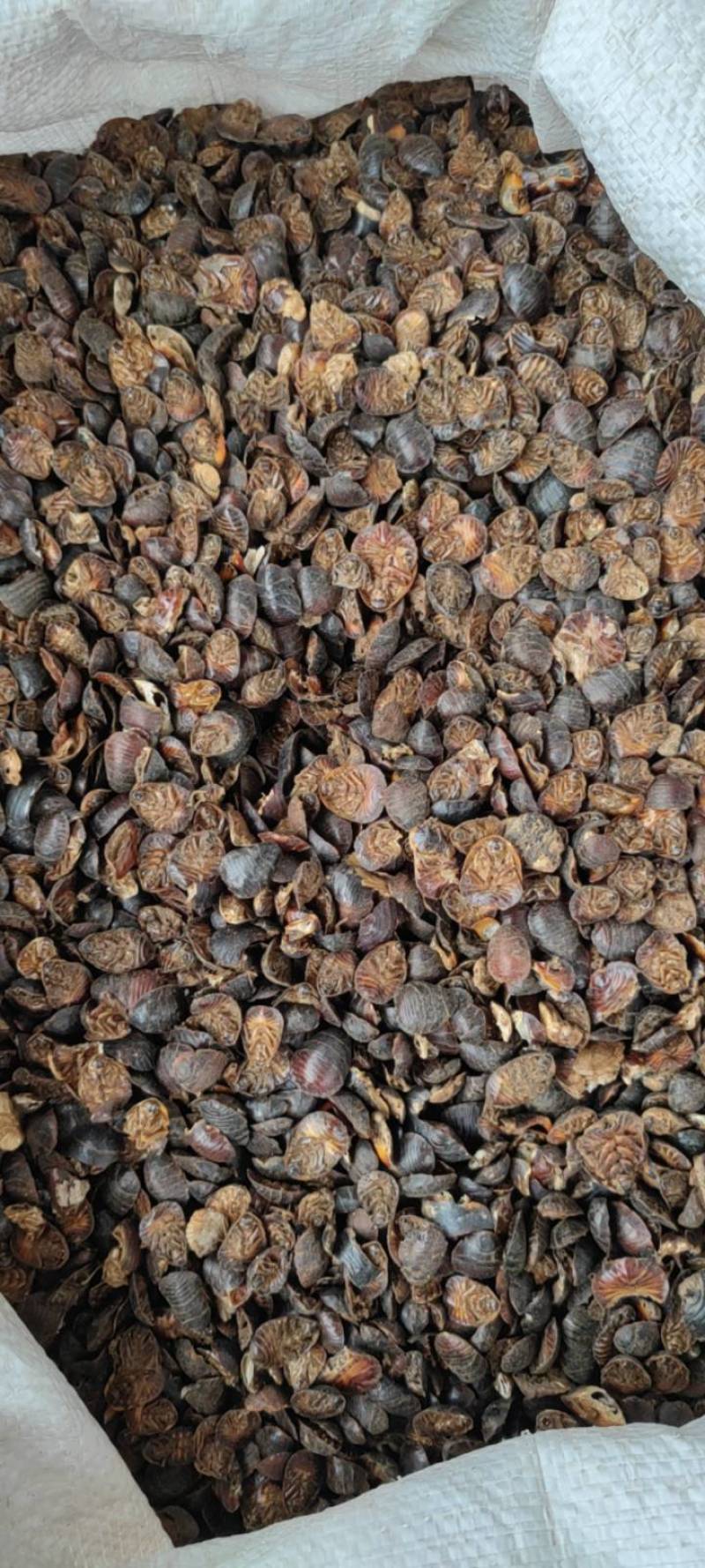 土元土鳖虫净货各种规格和价格各种中药材