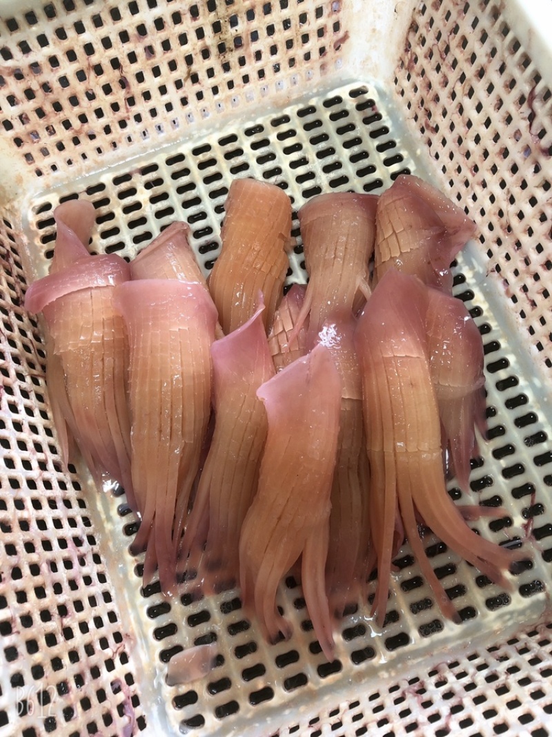 火箭鱿鱼原料