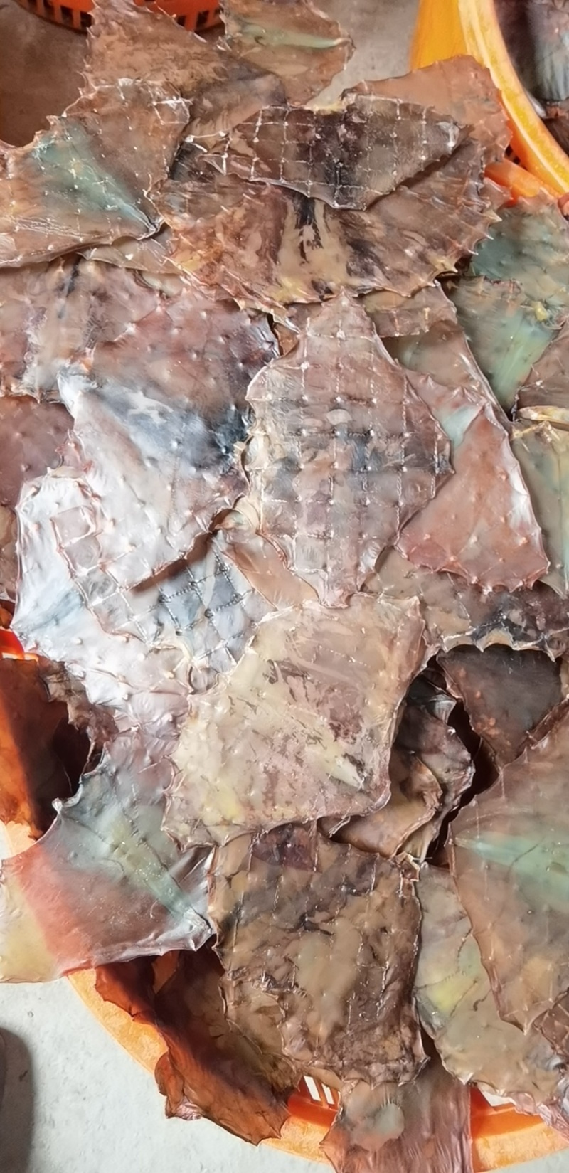火箭鱿鱼原料