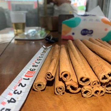 广西精品手工烟桂桂皮规格齐全品质保证量大从优