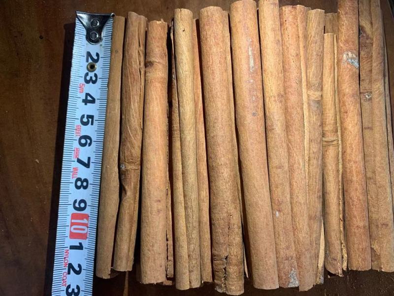 广西精品手工烟桂桂皮规格齐全品质保证量大从优
