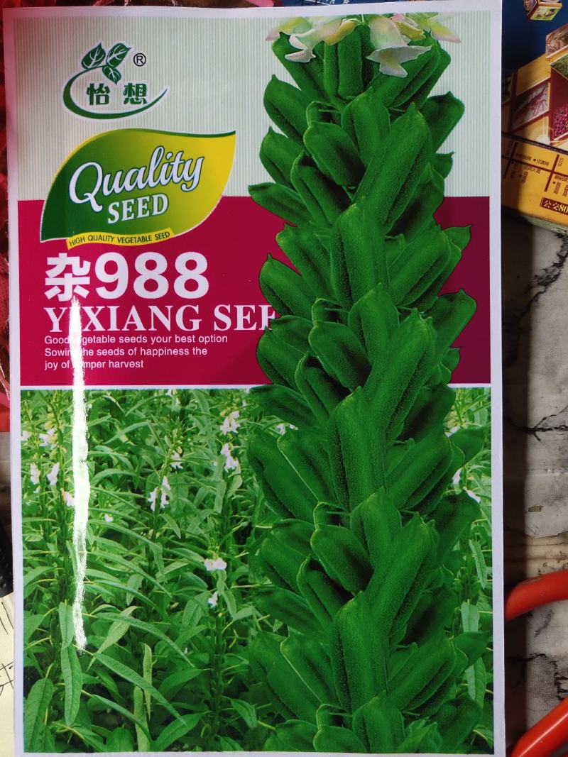 怡想杂交988白芝麻种子，抗病性好，千粒重4克左右