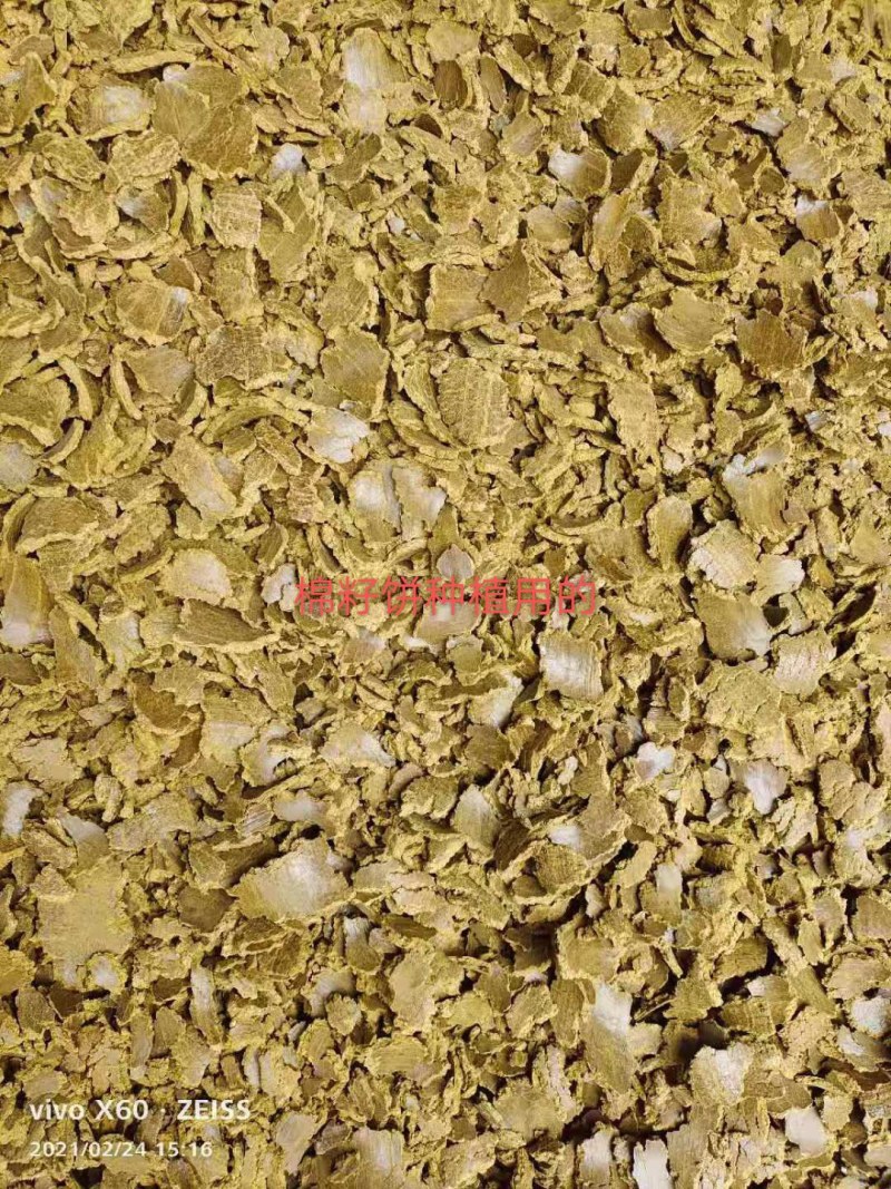 【牛】厂家自产自销棉籽粕养殖用，牛羊鱼饲料，货量充足稳定