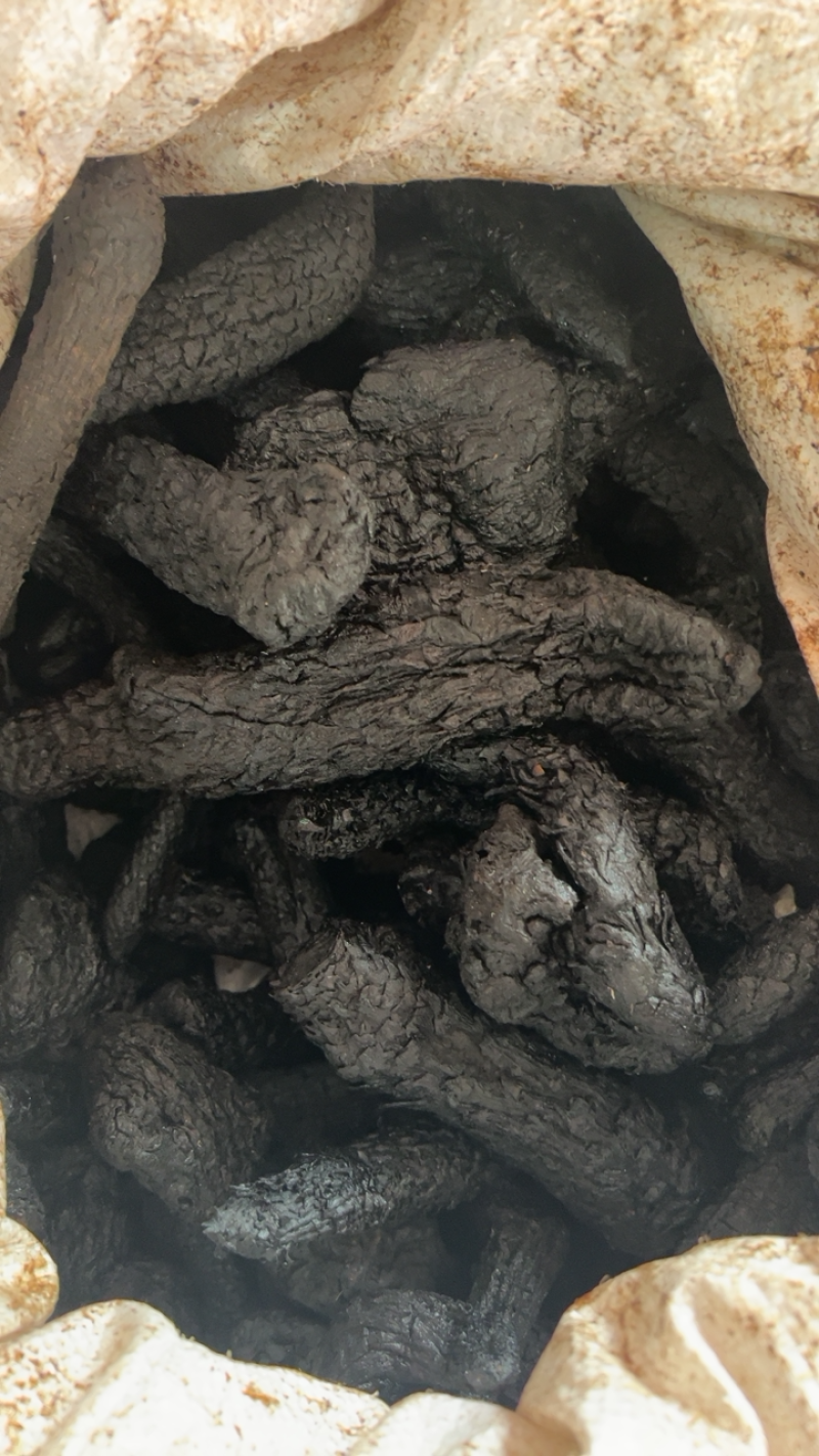 大芸中药材软质肉苁蓉一公斤起批大芸大货批发
