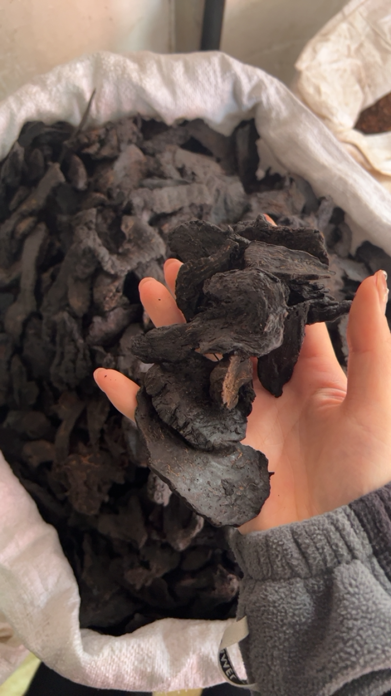 大芸中药材软质肉苁蓉一公斤起批大芸大货批发