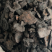 大芸中药材软质肉苁蓉一公斤起批大芸大货批发