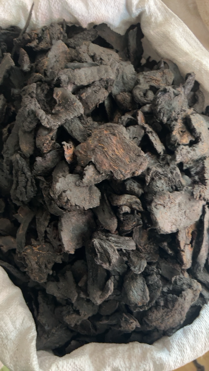 大芸中药材软质肉苁蓉一公斤起批大芸大货批发