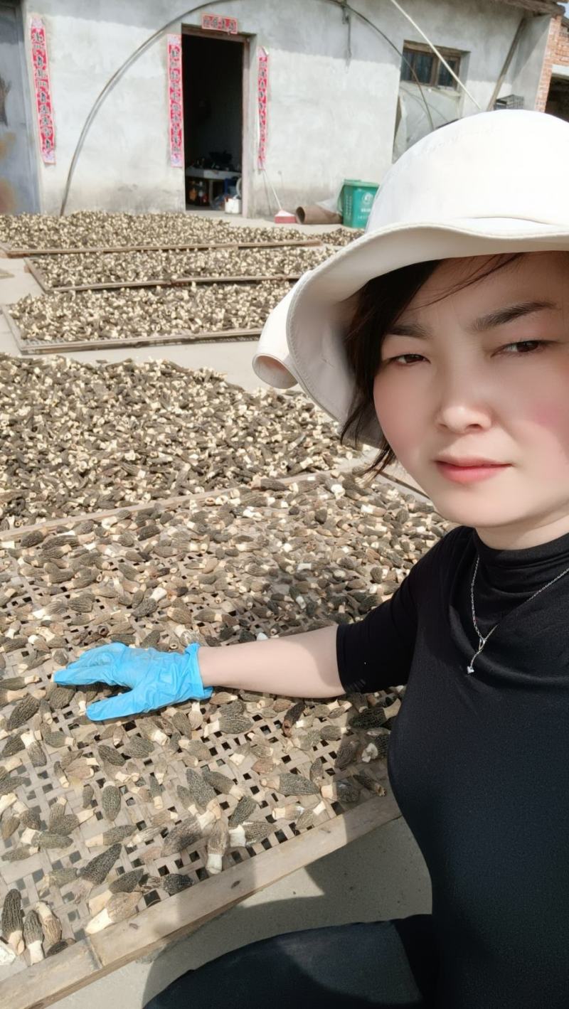 羊肚菌