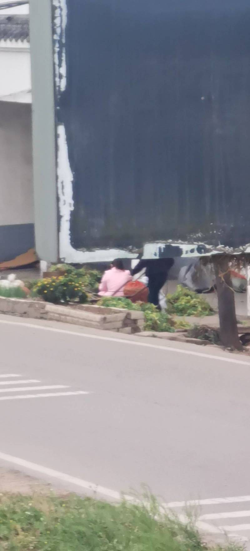 豌豆荚，大白豌豆荚，产地一手货源