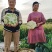 陕西精品松花菜，货源充足，价格实惠，欢迎进店咨询