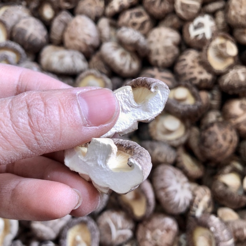 食用菌干货特级天白花菇干香菇金钱蘑菇农产品基地批发