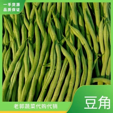 精品豆王豆角,颜色深绿,粗细均匀,保质保量欢迎咨询