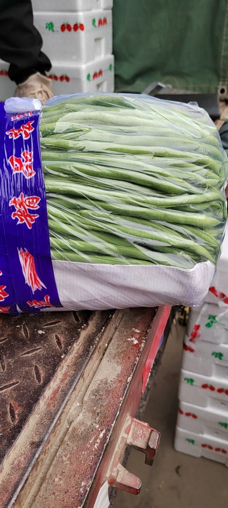 精品豆王豆角，颜色深绿，粗细均匀，保质保量欢迎咨询