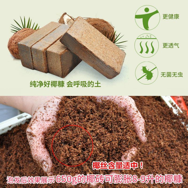 特价进口阳台种菜椰砖椰壳花卉种植土多肉植物椰糠椰土盆栽营