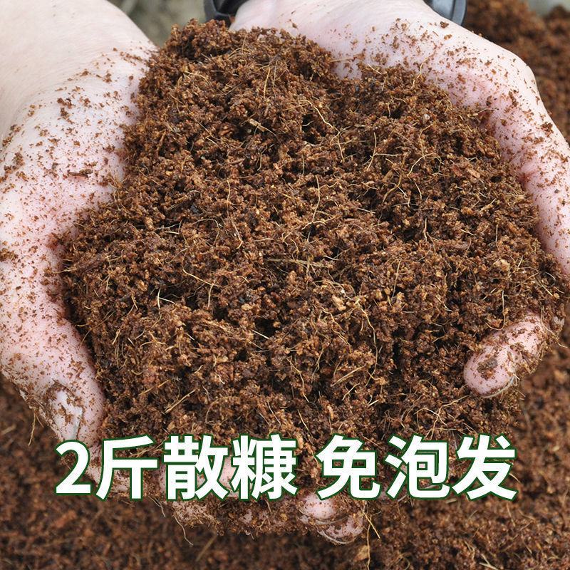 特价进口阳台种菜椰砖椰壳花卉种植土多肉植物椰糠椰土盆栽营