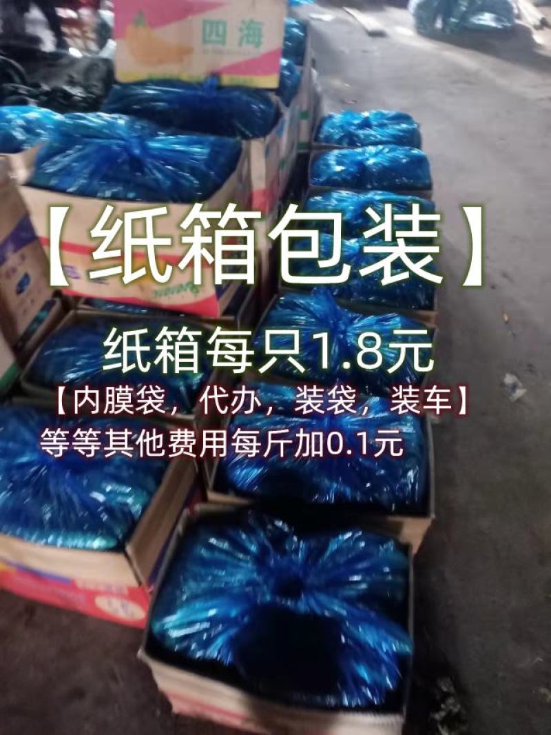 黄瓜现摘直发新鲜密刺黄瓜绿瓤田头价大棚密刺黄瓜