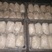 白蘑双孢菇菌种，食用菌菌种母种原种栽培种一级二级三级