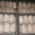 白蘑双孢菇菌种，食用菌菌种母种原种栽培种一级二级三级