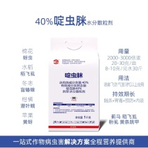 40%啶虫脒果树柑橘蔬菜蚜虫腻虫飞虱跳甲蓟马小绿叶蝉