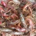湖虾小龙虾主养6-8钱（30-40克）活虾