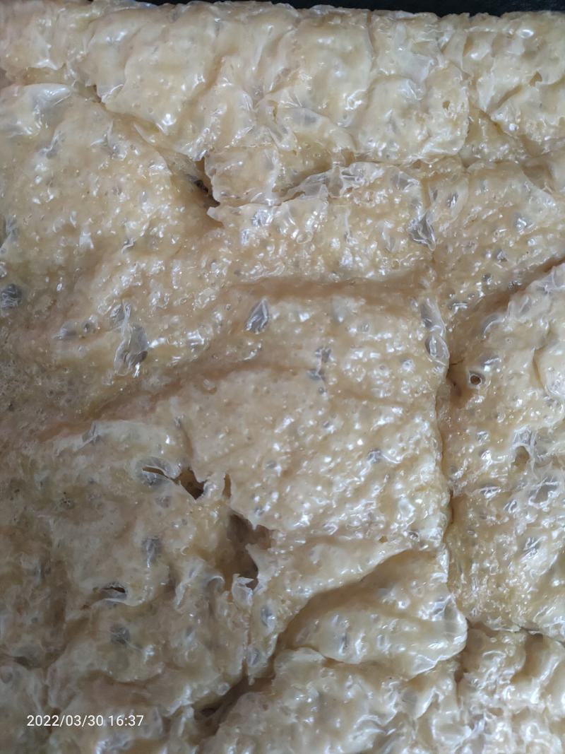 纯手工面筋，蒸面筋块，可溜炒烹炸涮煮，凉调，炝拌均可！