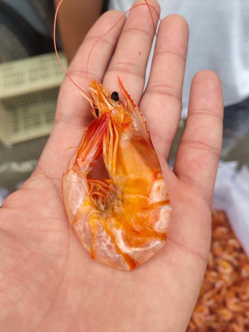大个烤虾，山东沾化精品烤虾，无盐淡干产地直销，供电商团购