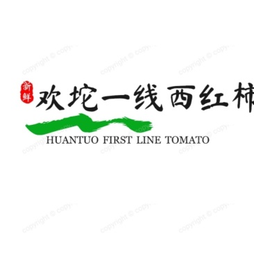欢坨一线西红柿