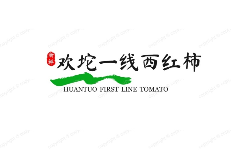 欢坨一线西红柿