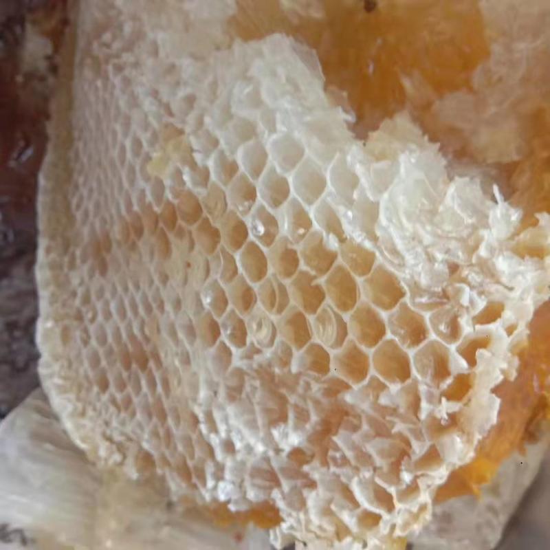 西双版纳野生蜂蜜大量上市