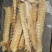 广州人新西兰鳕鱼骨原色干货煲汤原材料一件代发批发货源