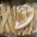 广州人新西兰鳕鱼骨原色干货煲汤原材料一件代发批发货源