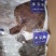 三去多宝鱼
