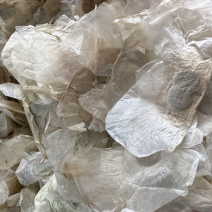木蝴蝶千层纸纯泰国进口木蝴蝶符合药典