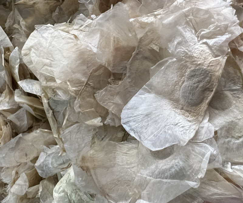 木蝴蝶千层纸纯泰国进口木蝴蝶符合药典