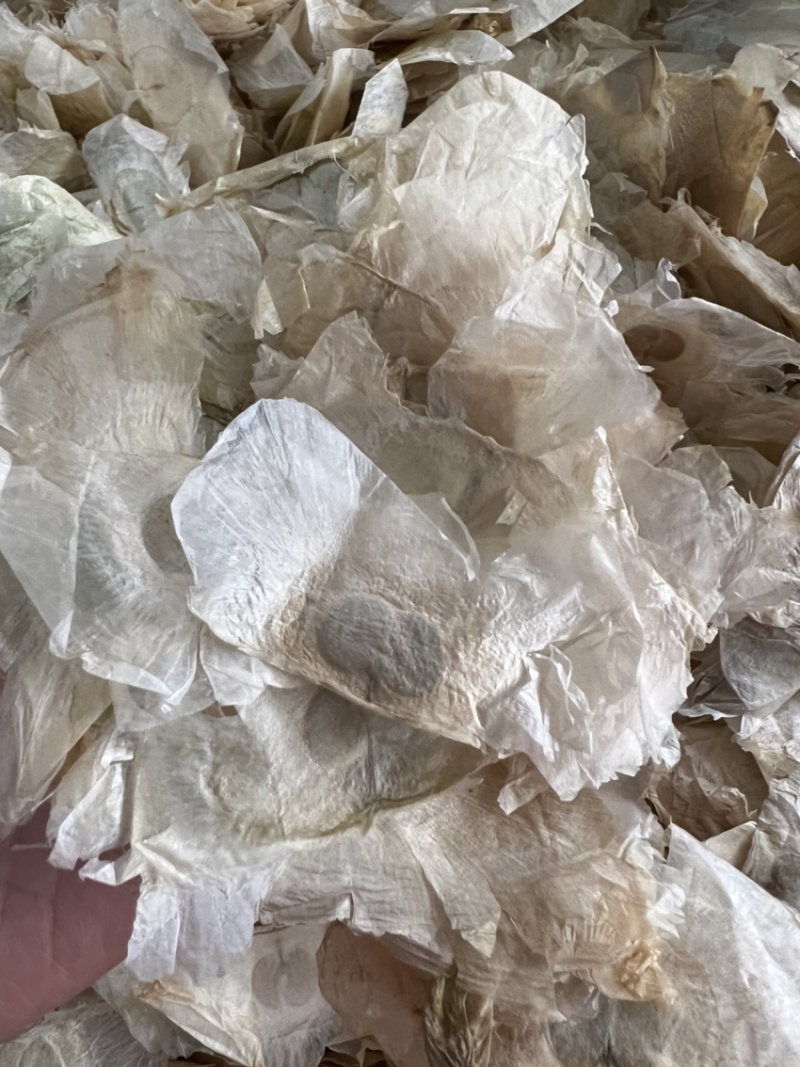 木蝴蝶千层纸纯泰国进口木蝴蝶符合药典
