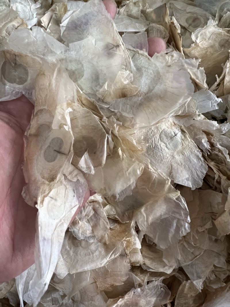 木蝴蝶千层纸纯泰国进口木蝴蝶符合药典