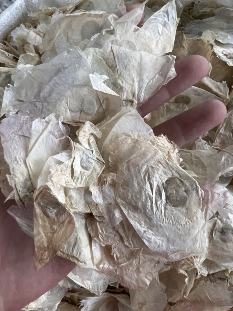 木蝴蝶千层纸纯泰国进口木蝴蝶符合药典