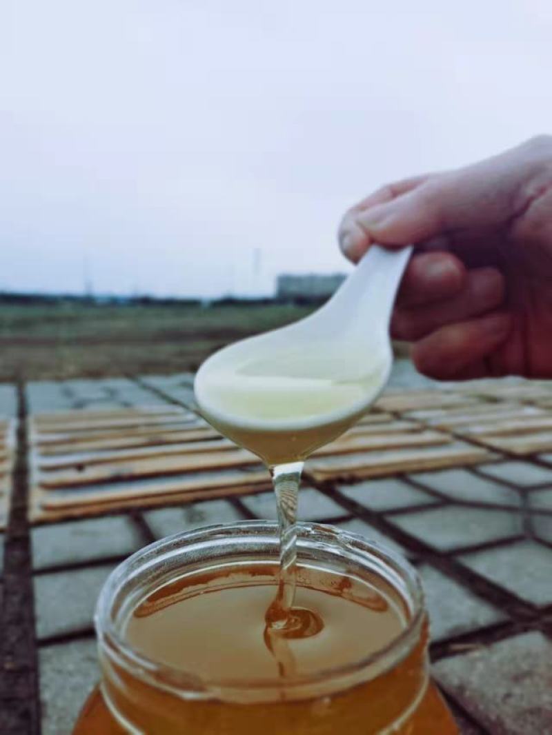 蜂蜜自产自销只有100斤