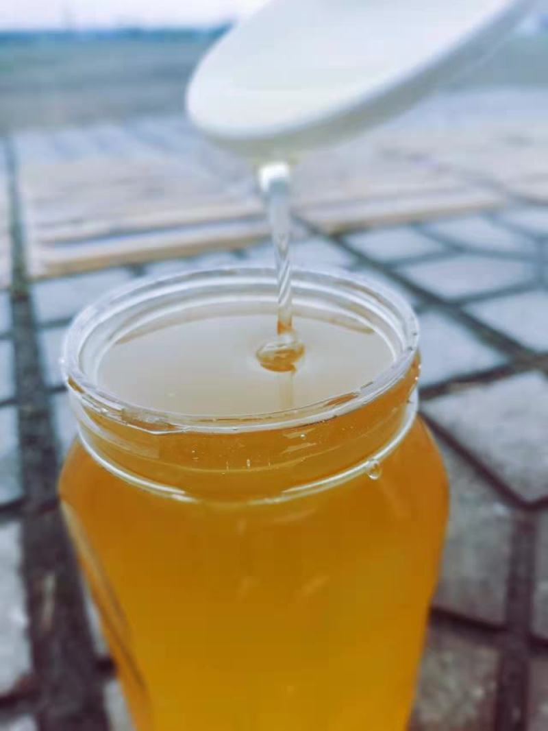 蜂蜜自产自销只有100斤