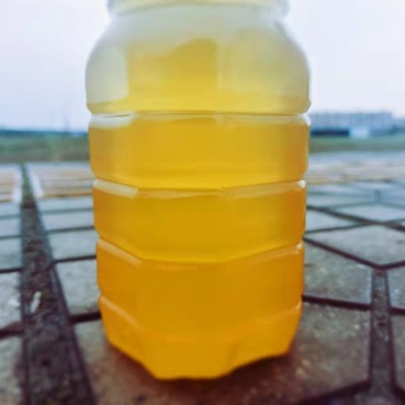 蜂蜜自产自销只有100斤