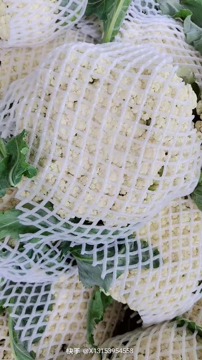 菜花