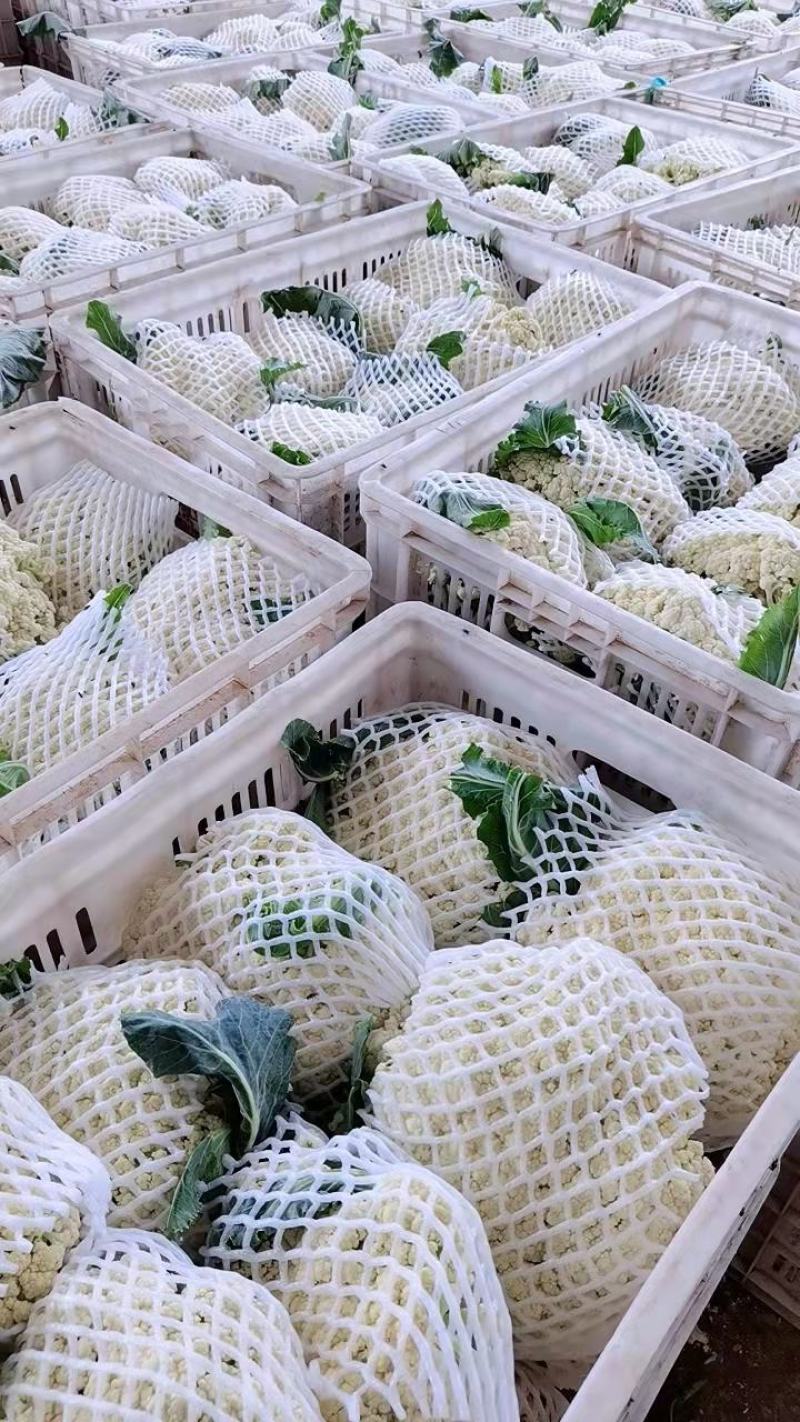 菜花