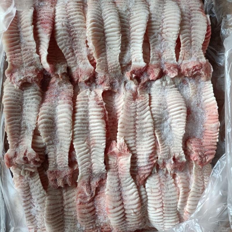 【包邮-20斤猪天梯】热销20斤新鲜冷冻猪天梯
