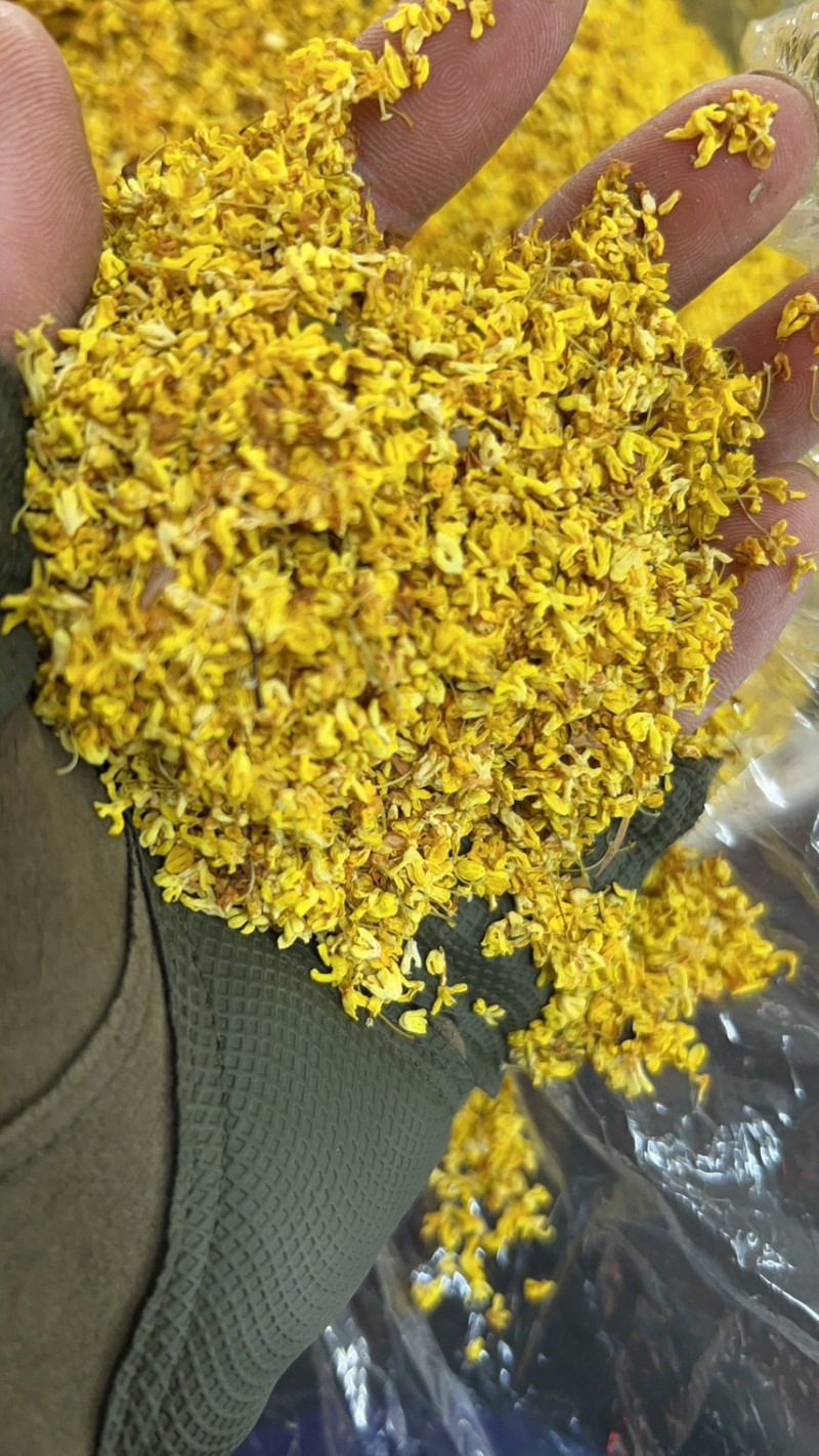 桂花中药桂花/茶品桂花/八桂广西桂花药用桂花