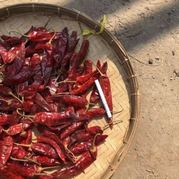 缅甸干辣椒，长年供应缅甸干辣椒，中缅口岸清关完后交货。