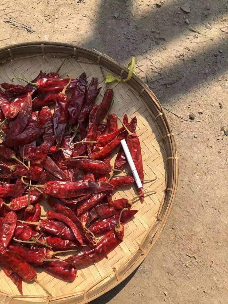 缅甸干辣椒，长年供应缅甸干辣椒，中缅口岸清关完后交货。